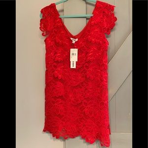 BB Dakota mini dress